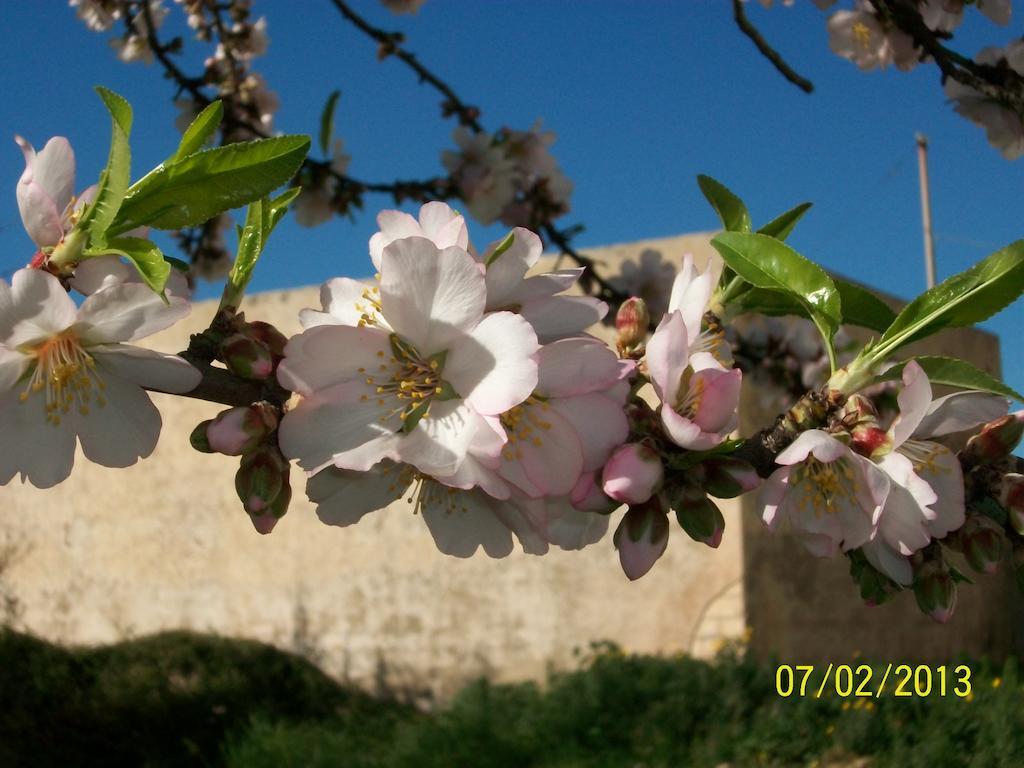 Casa Vacanze Mandorlo In Fiore Villa Avola Exterior photo