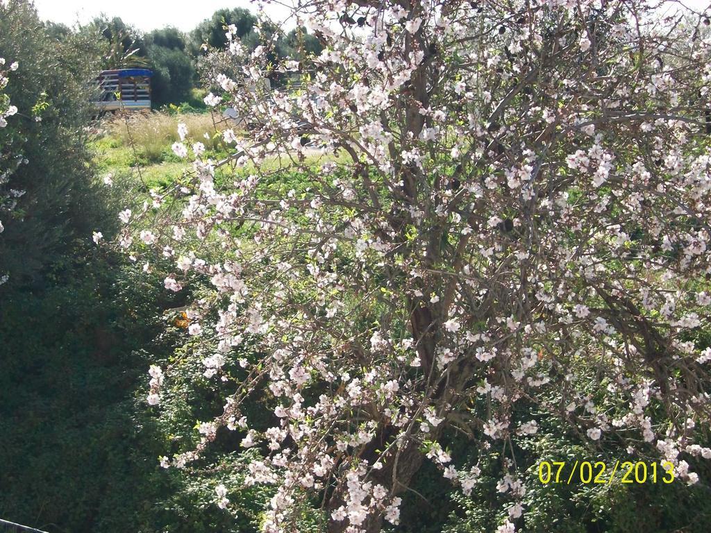 Casa Vacanze Mandorlo In Fiore Villa Avola Exterior photo