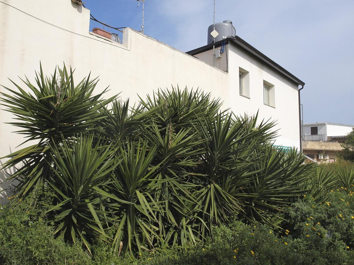 Casa Vacanze Mandorlo In Fiore Villa Avola Exterior photo