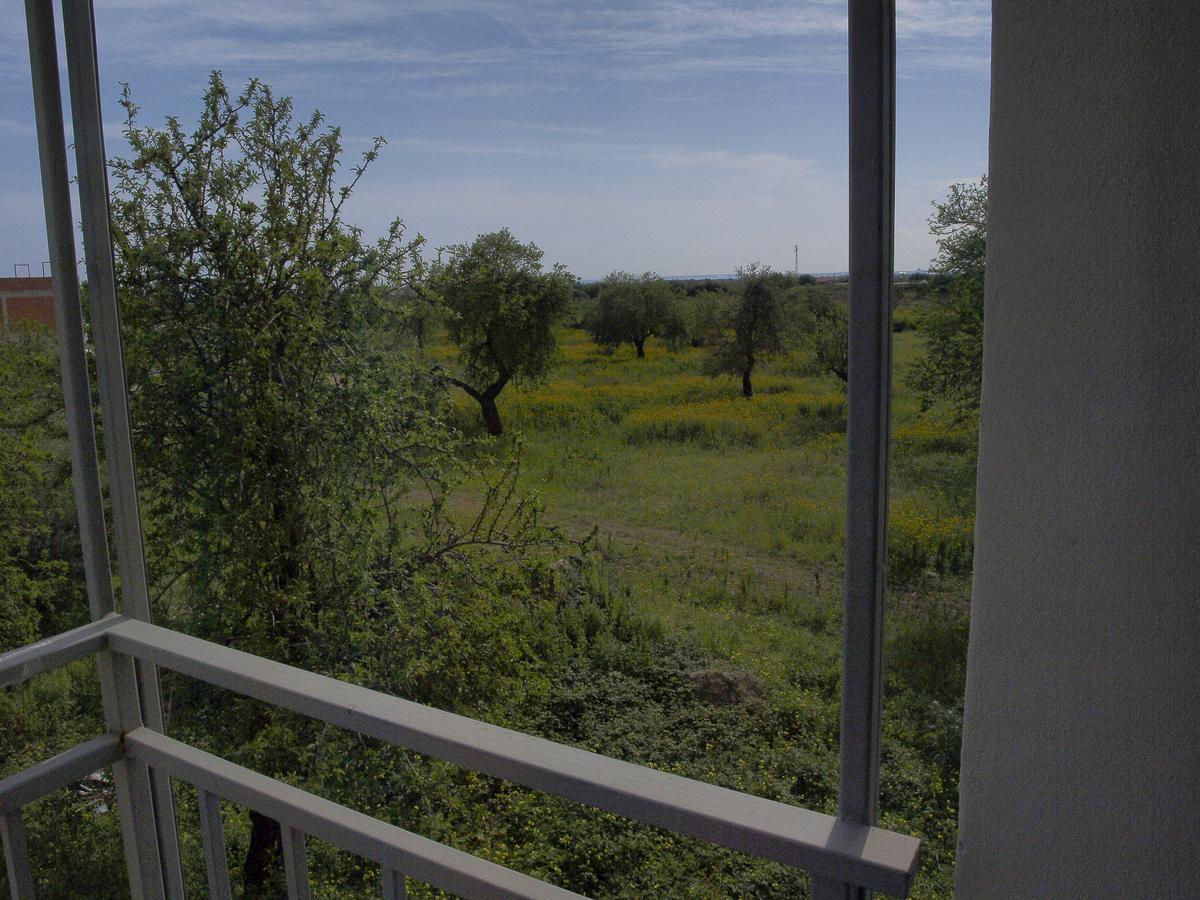 Casa Vacanze Mandorlo In Fiore Villa Avola Exterior photo